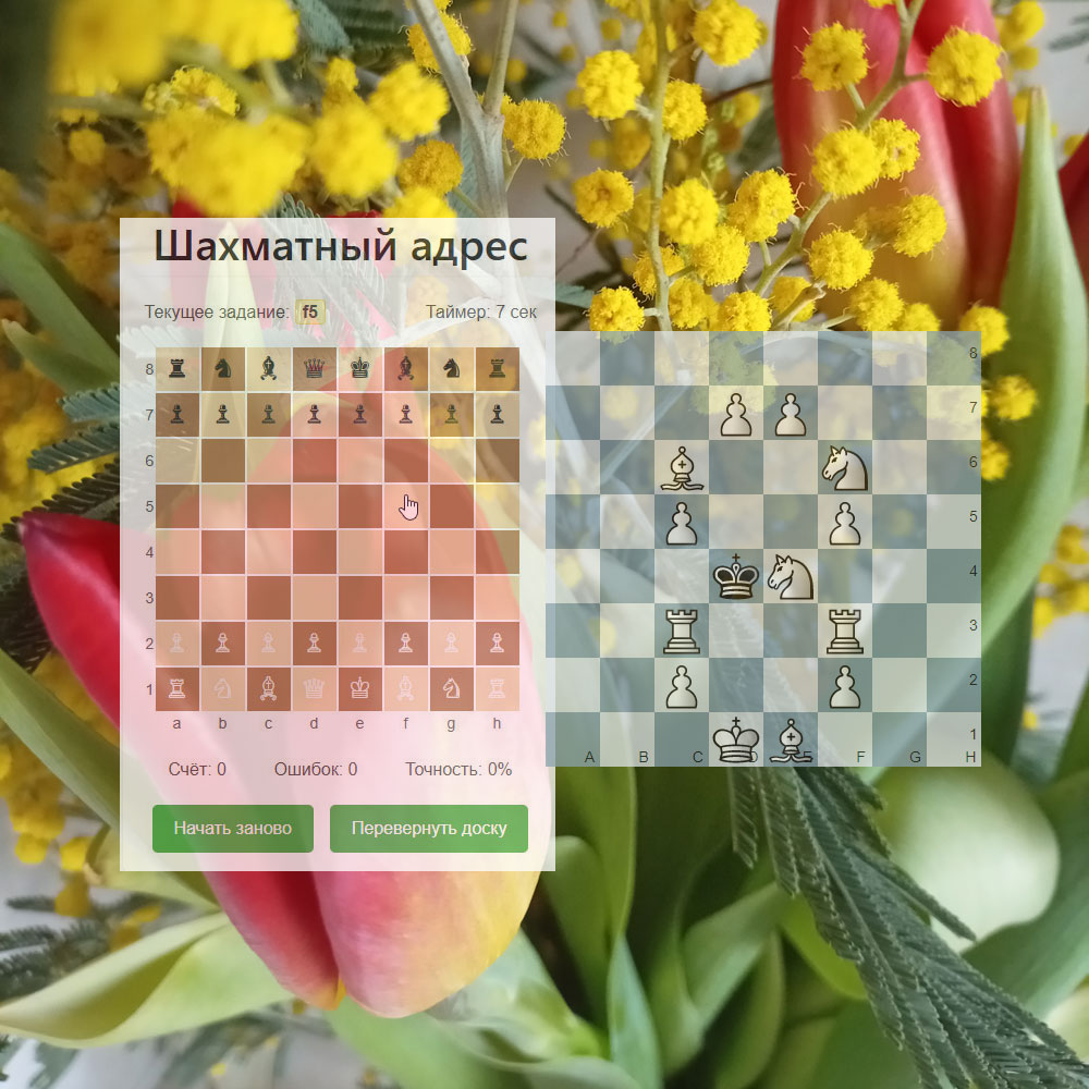 Шахматная 8